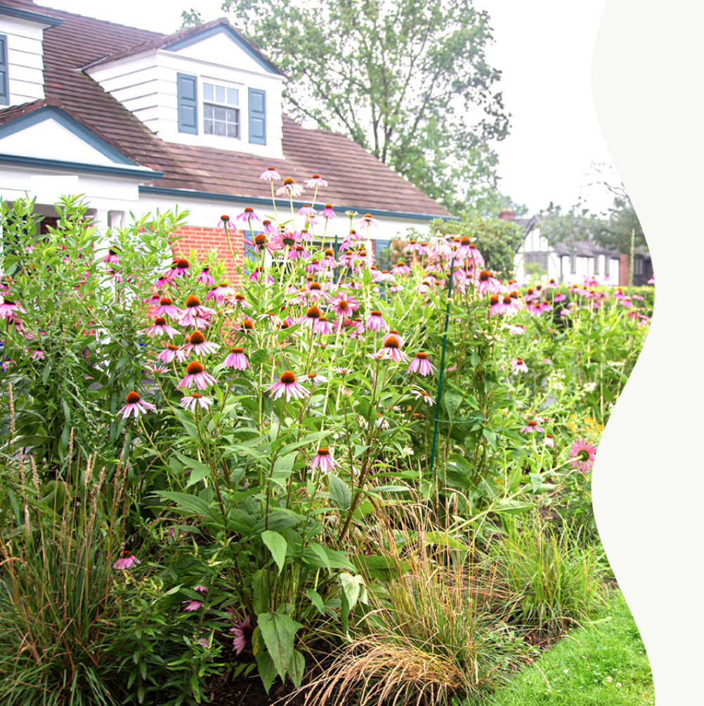 Screen Shot 2025-02-07 at 9.46.50 AM