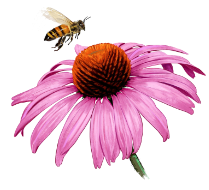 Screen Shot 2025-02-13 at 10.06.40 AM